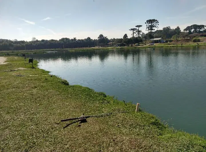 Pague e Pesque São José dos Pinhais