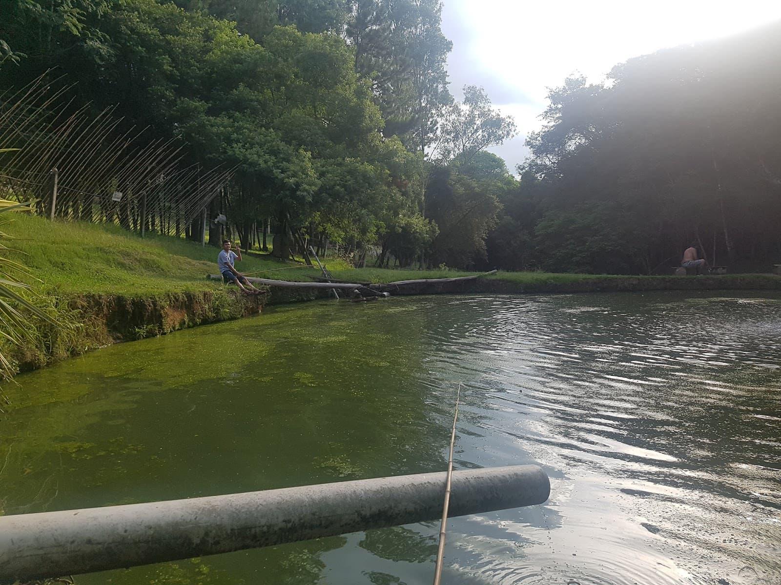 Pesque e Pague São Vicente: guia completo de pesca