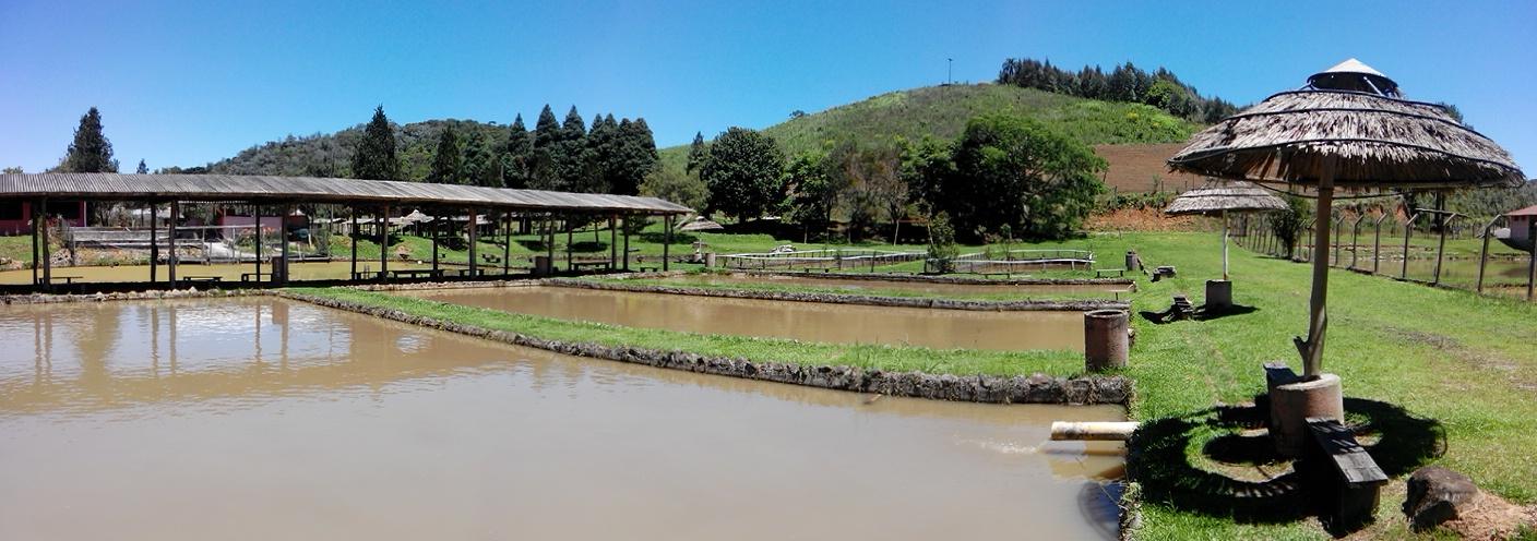 Pesqueiro Park Novo Oriente: guia completo de pesca