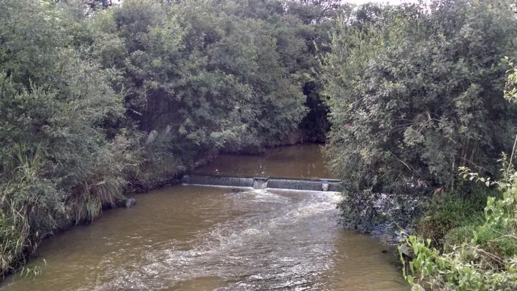 Rio Maurício: guia completo de pesca - pesca esportiva