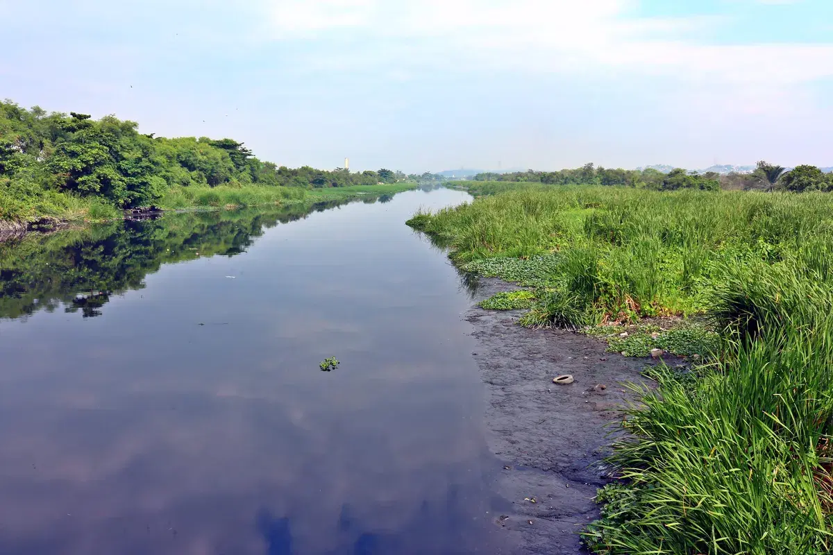 Rio Sarapuí: guia completo de pesca - pesca esportiva