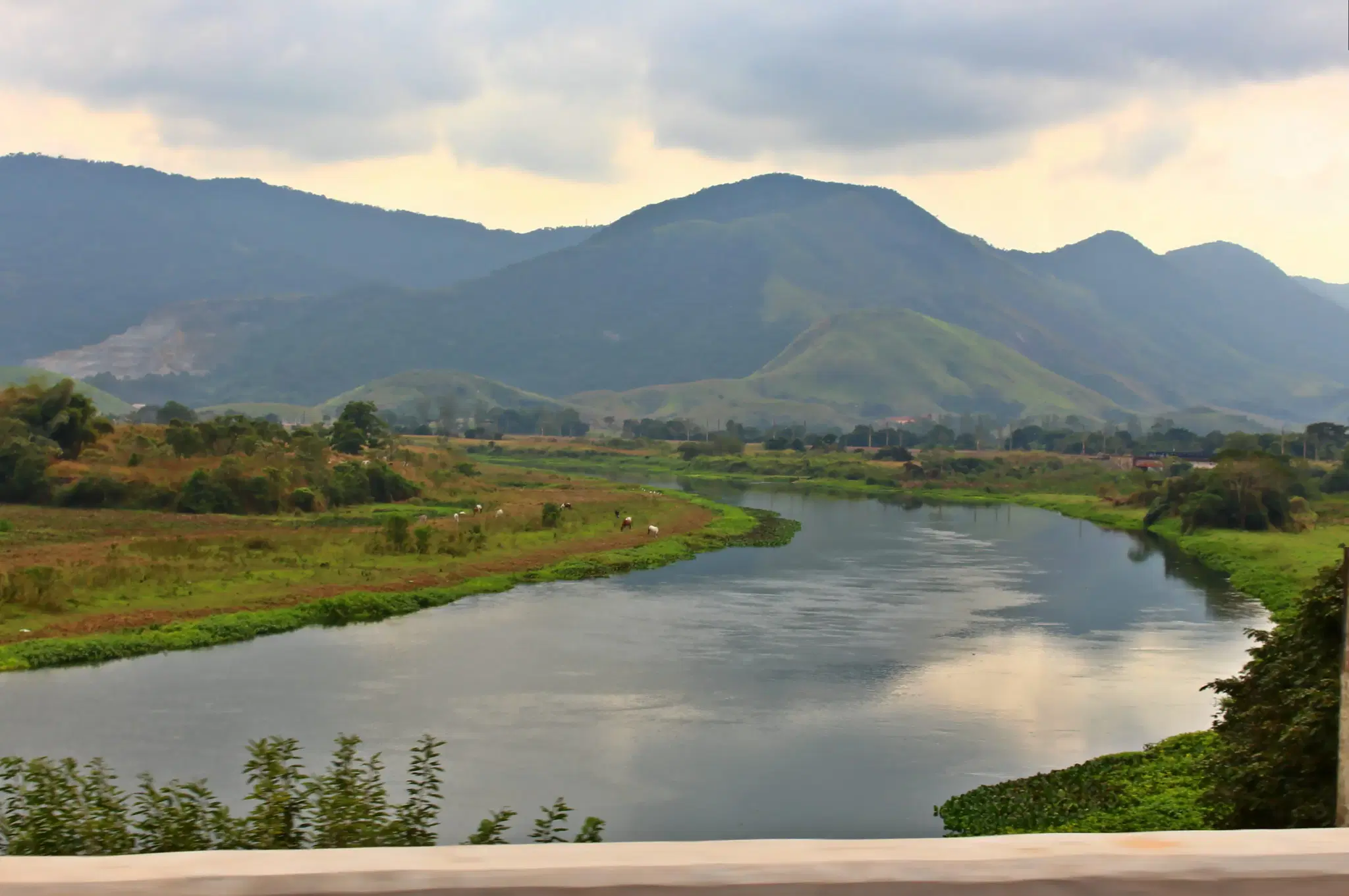 Rio Guandu: guia completo de pesca