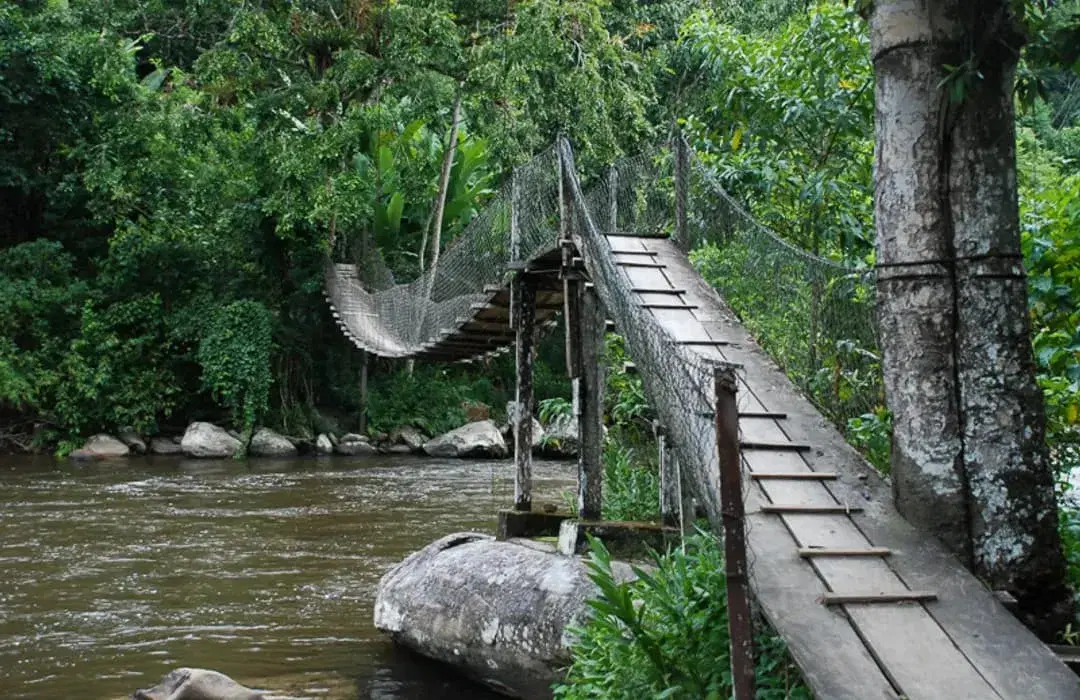 Rio Mambucaba: guia completo de pesca