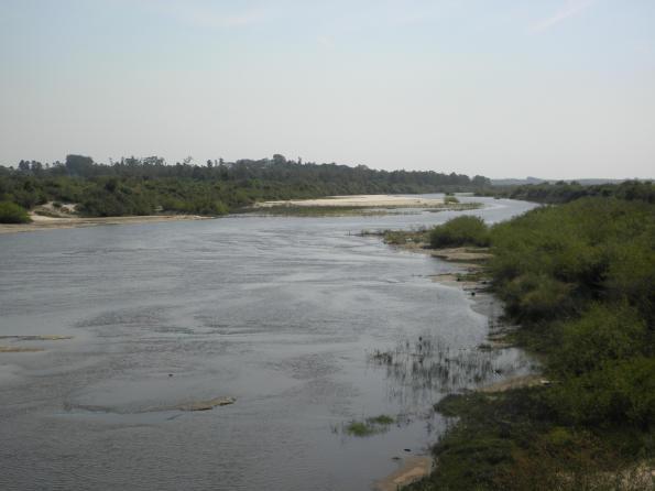 Rio Ibicuí da Armada: guia completo de pesca