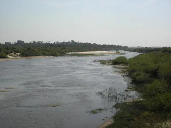Rio Ibicuí da Armada: guia completo de pesca