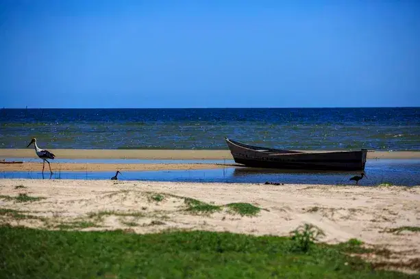 Bojuru: guia completo de pesca