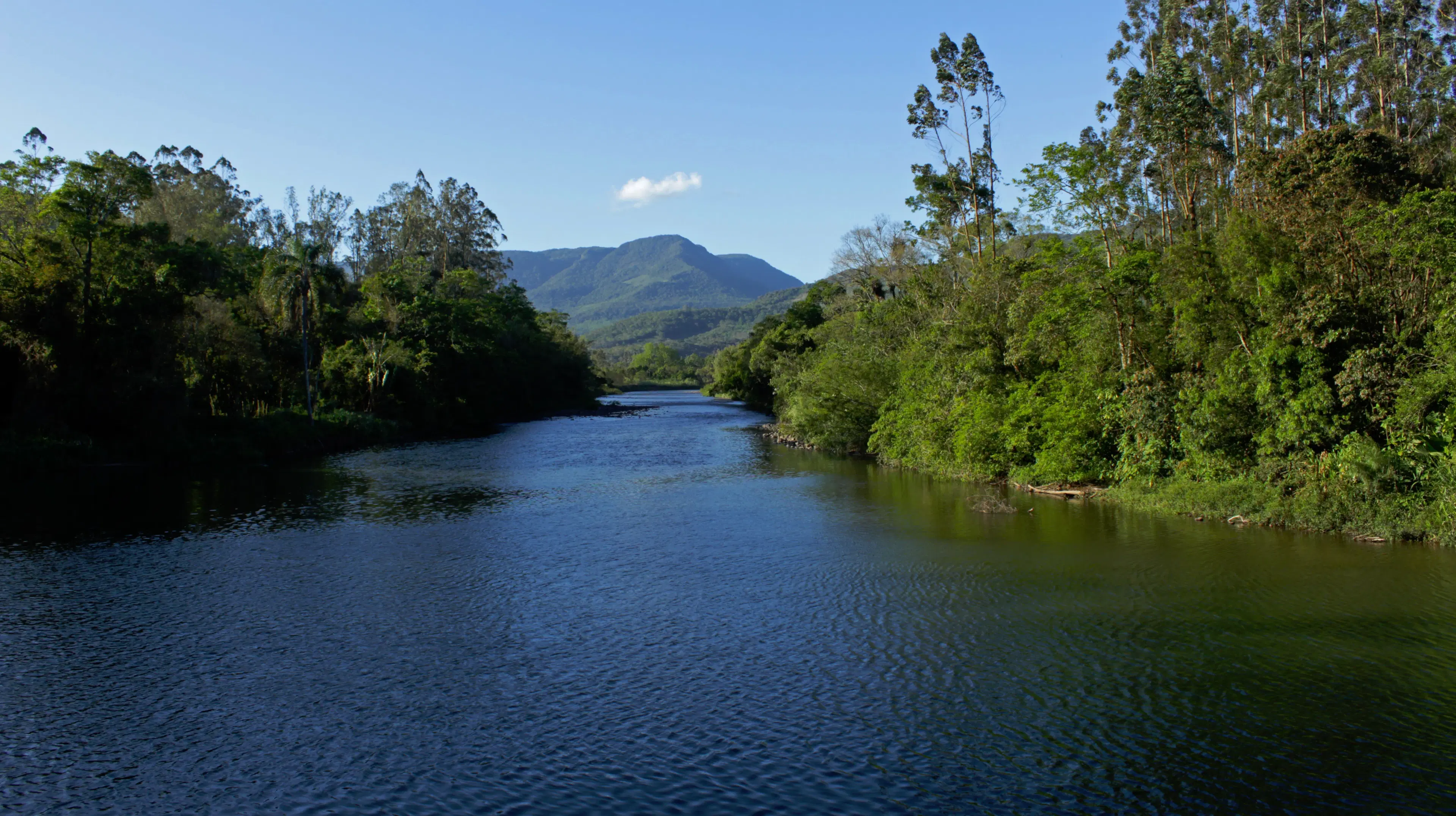 Rio Maquiné: guia completo de pesca