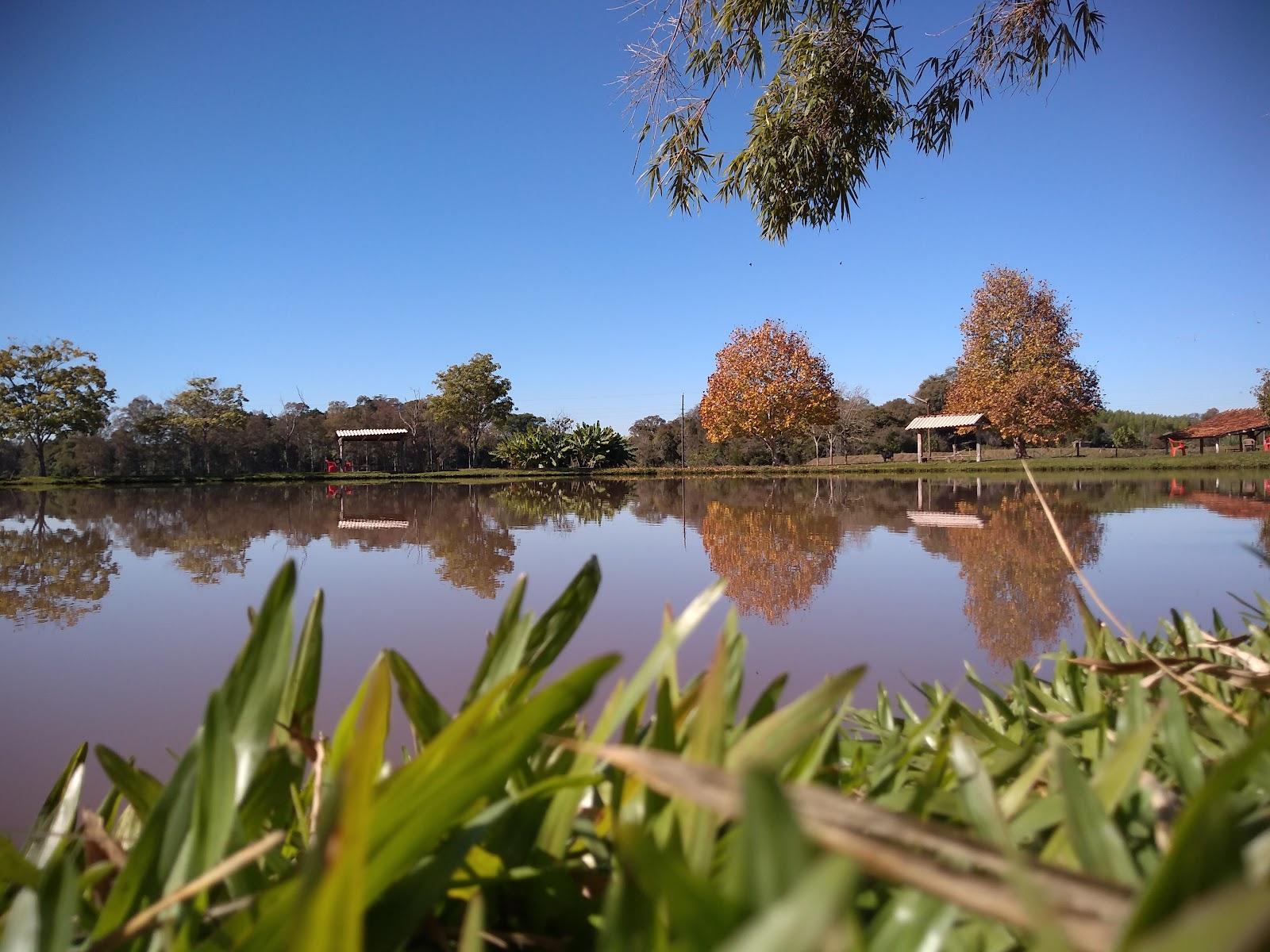 Haupt Pesque Pague Bela Vista: guia completo de pesca
