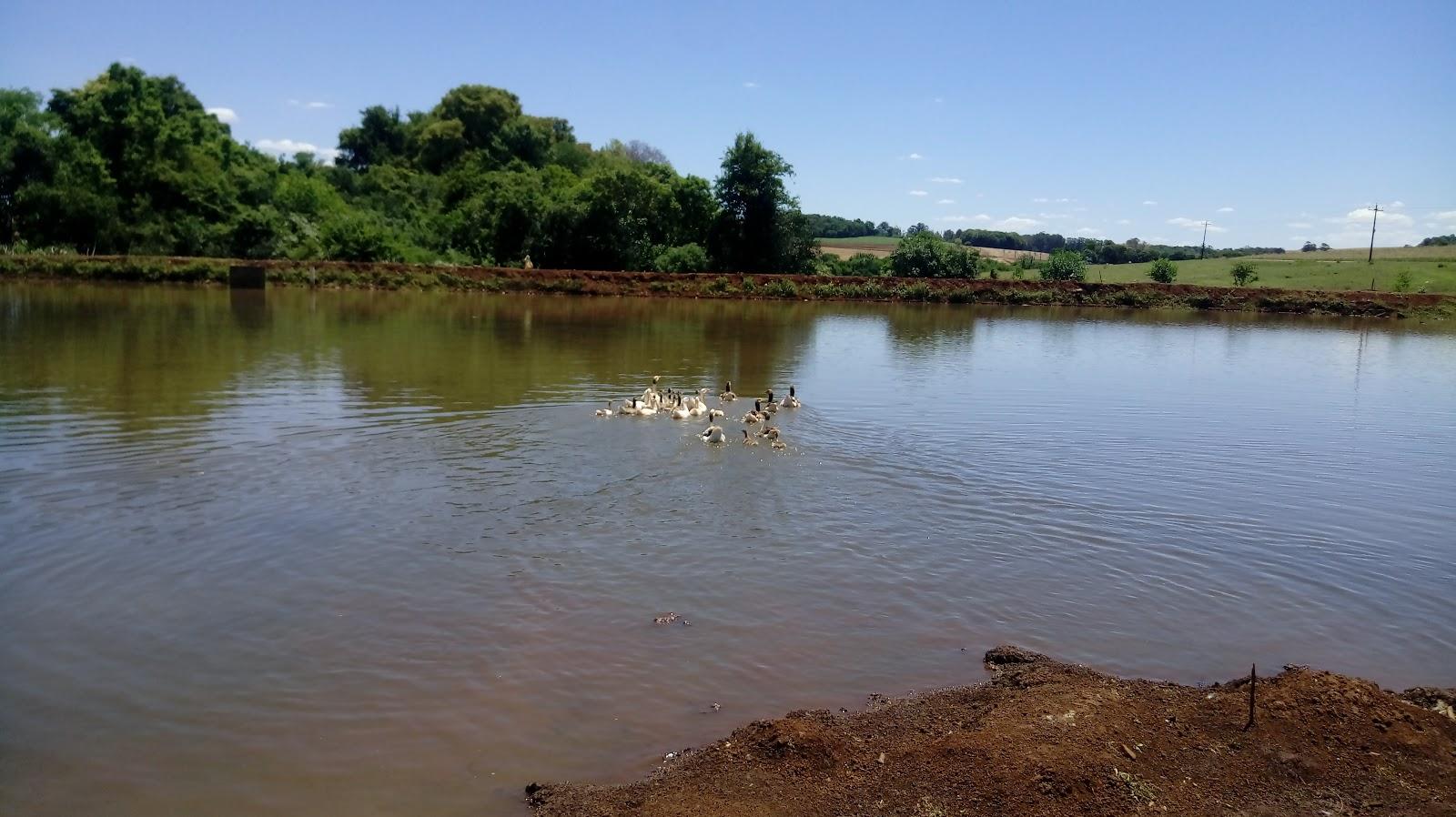 Pesqueiro Tell: guia completo de pesca