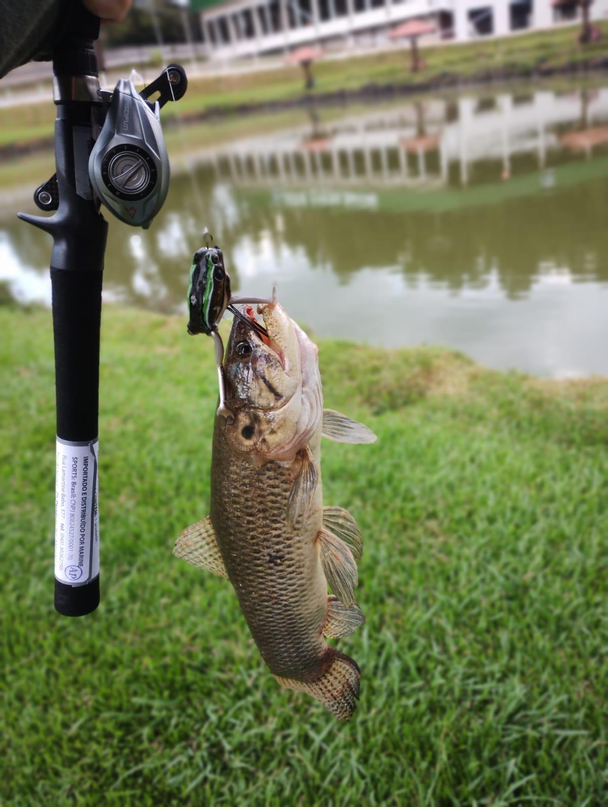 Pesque e Pague Nossa Senhora Aparecida: guia de pesca