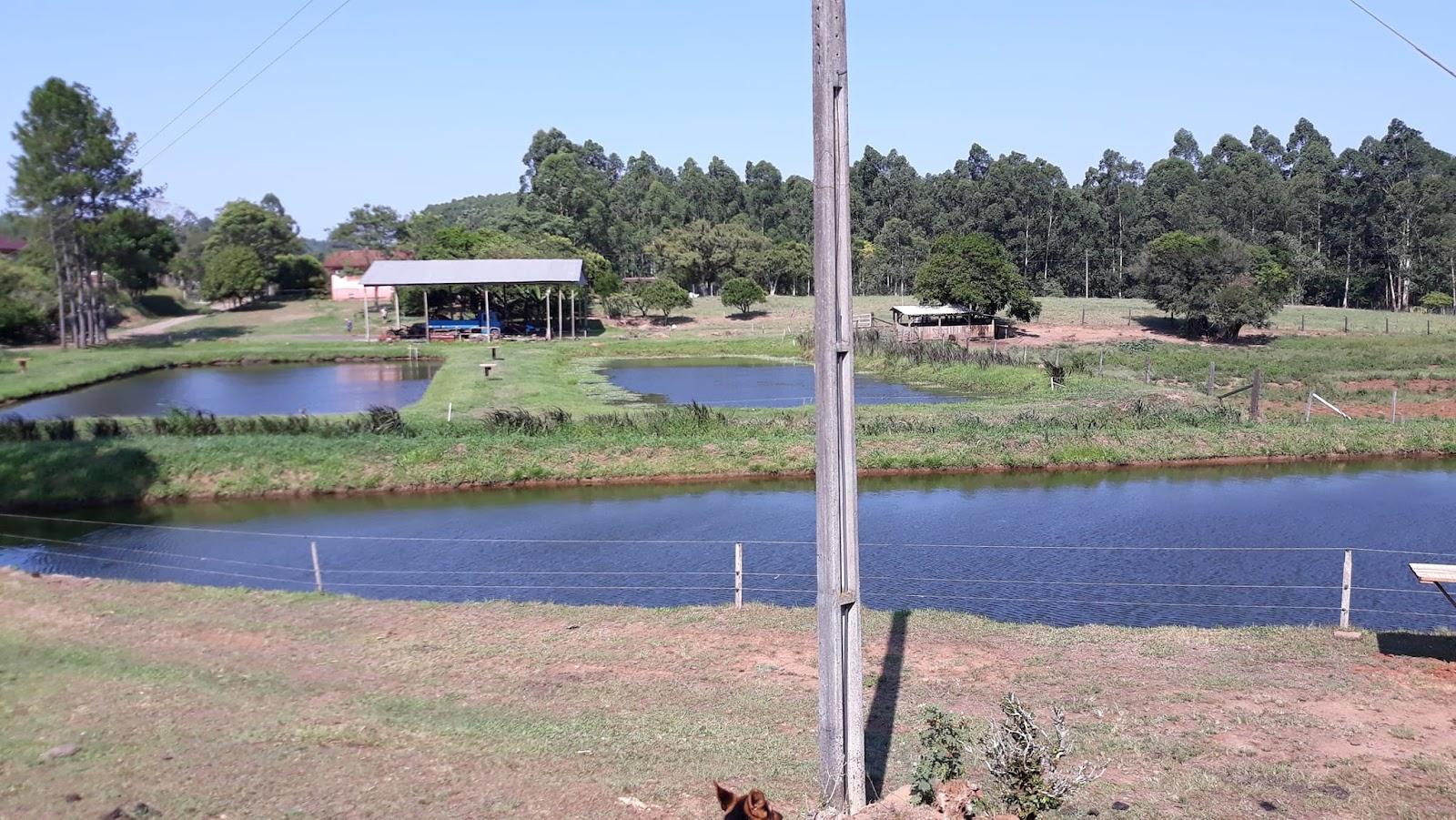 Pesque Pague Azevedo: guia completo de pesca