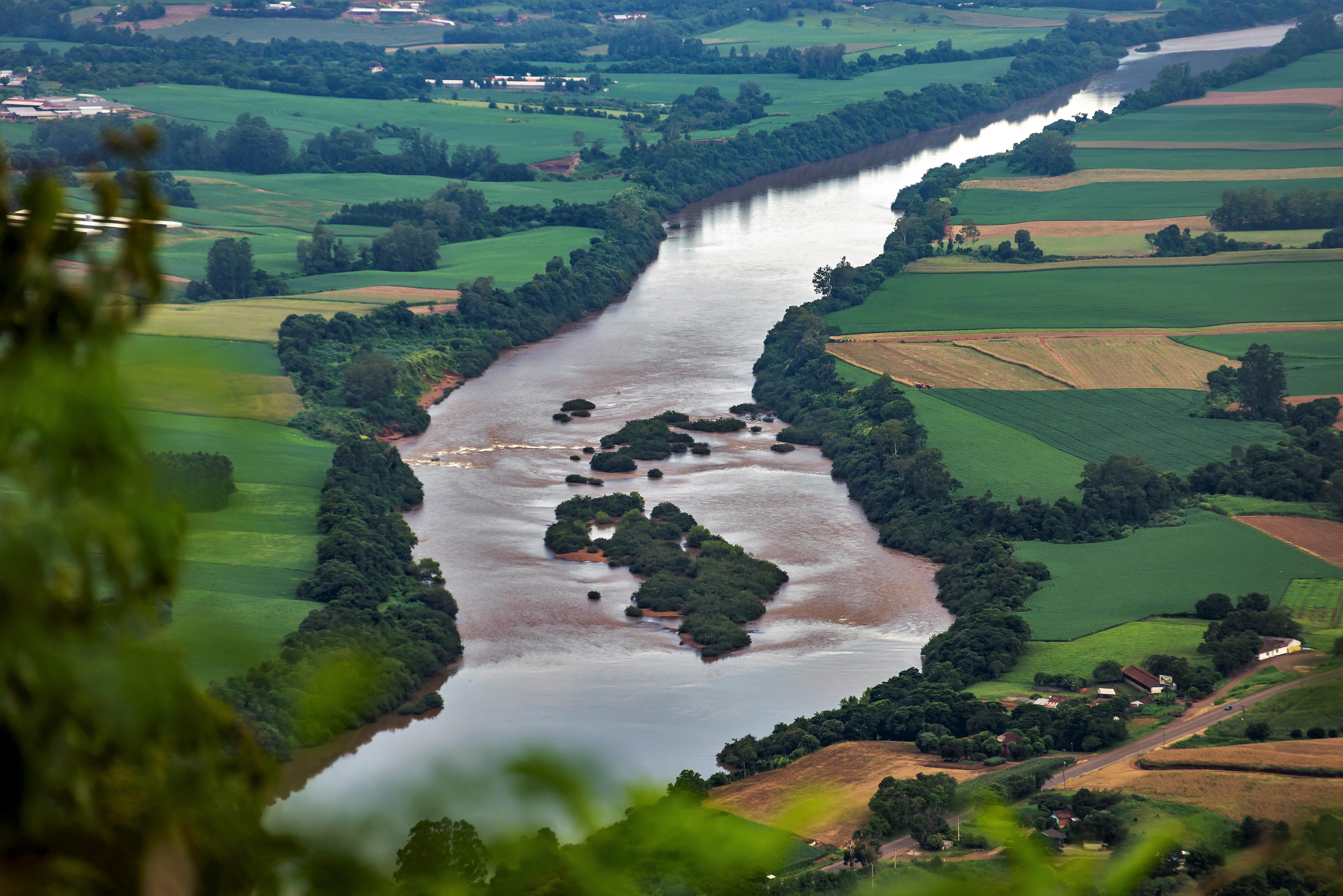 Rio Taquari: guia completo de pesca