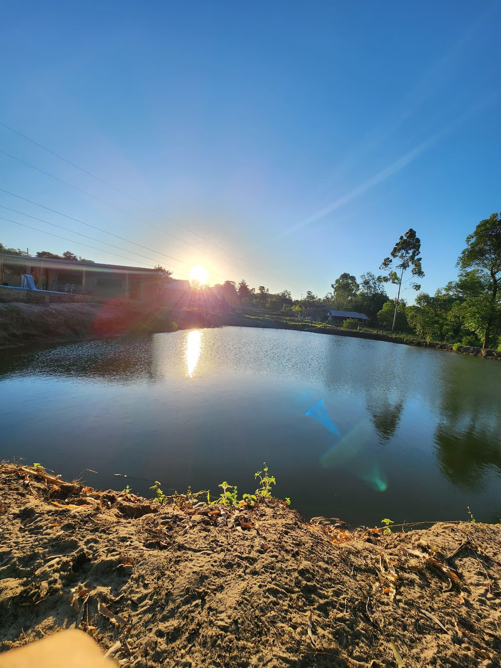 Balneário e Pesque e Pague Rosa e Silva: guia de pesca