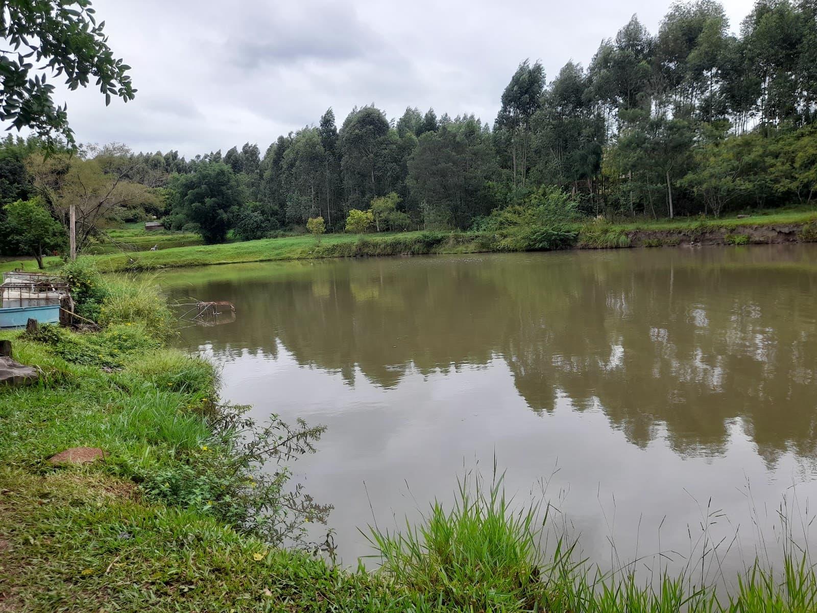 Pesque Pague Campo Grande: guia completo de pesca
