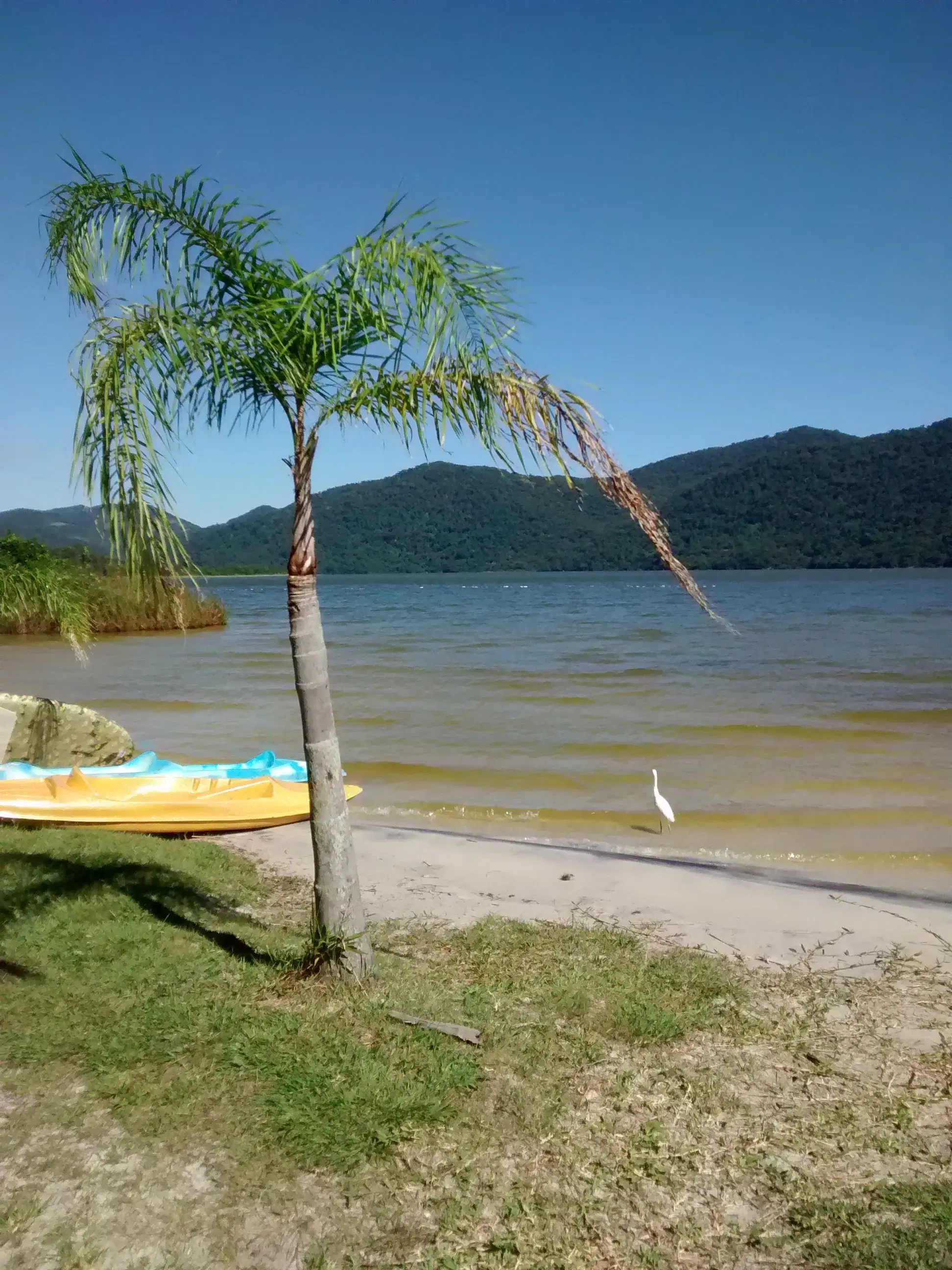 Lagoa do Peri: guia completo de pesca