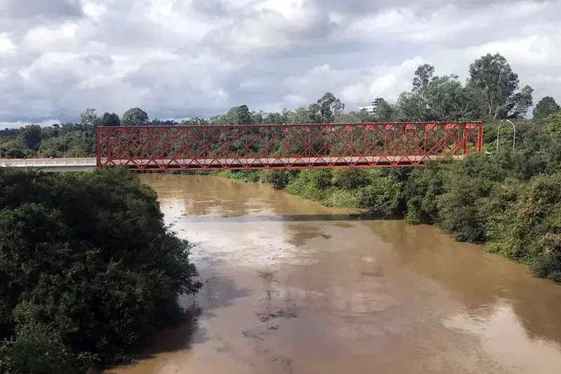 Rio Negro (SC): guia completo de pesca