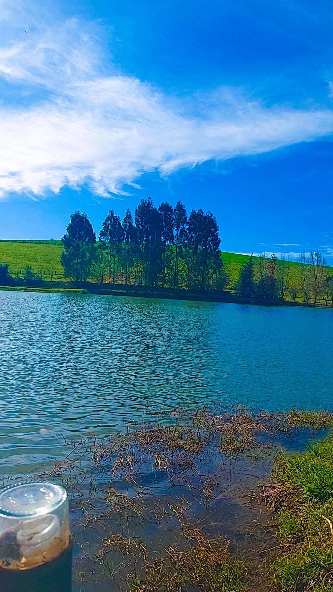 Pesque Pague Dal Zot: guia completo de pesca