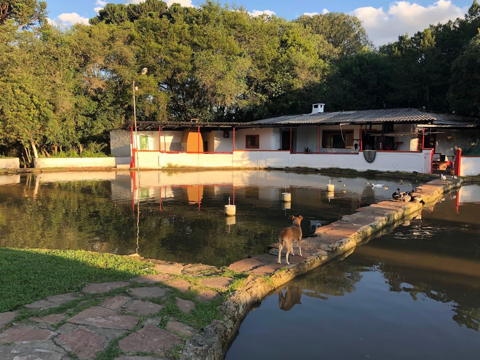 Pesque e Pague do Madruga: guia completo de pesca