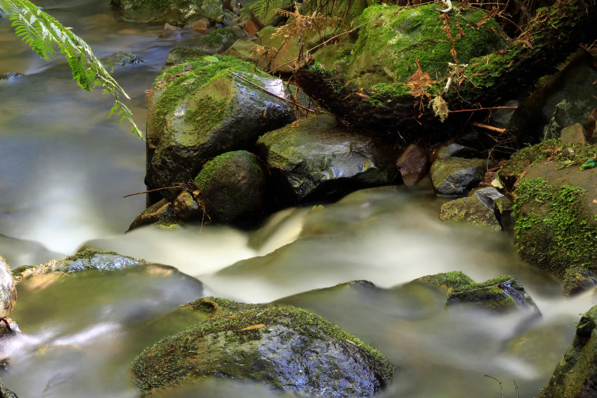Rio Canoas