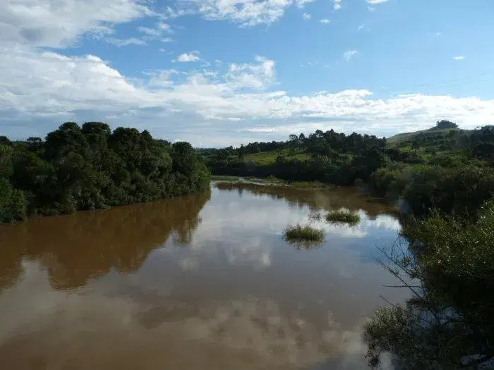 Rio Lava-Tudo: guia completo de pesca