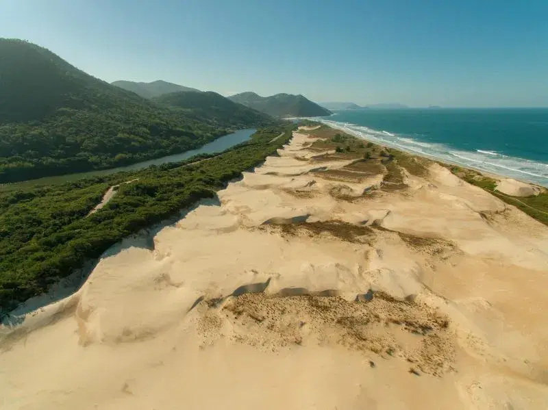 Lagoa do Macacu: guia completo de pesca