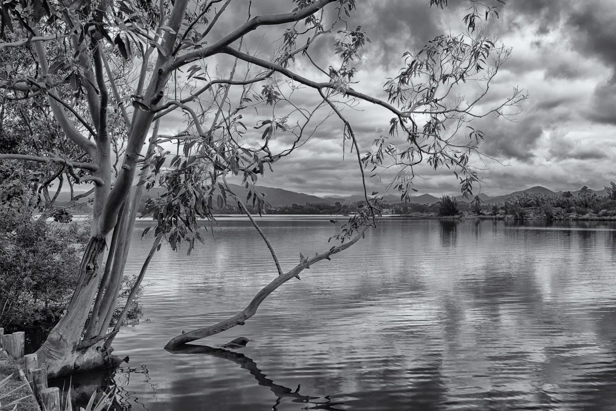 Lagoa/Barra de Ibiraquera: guia completo