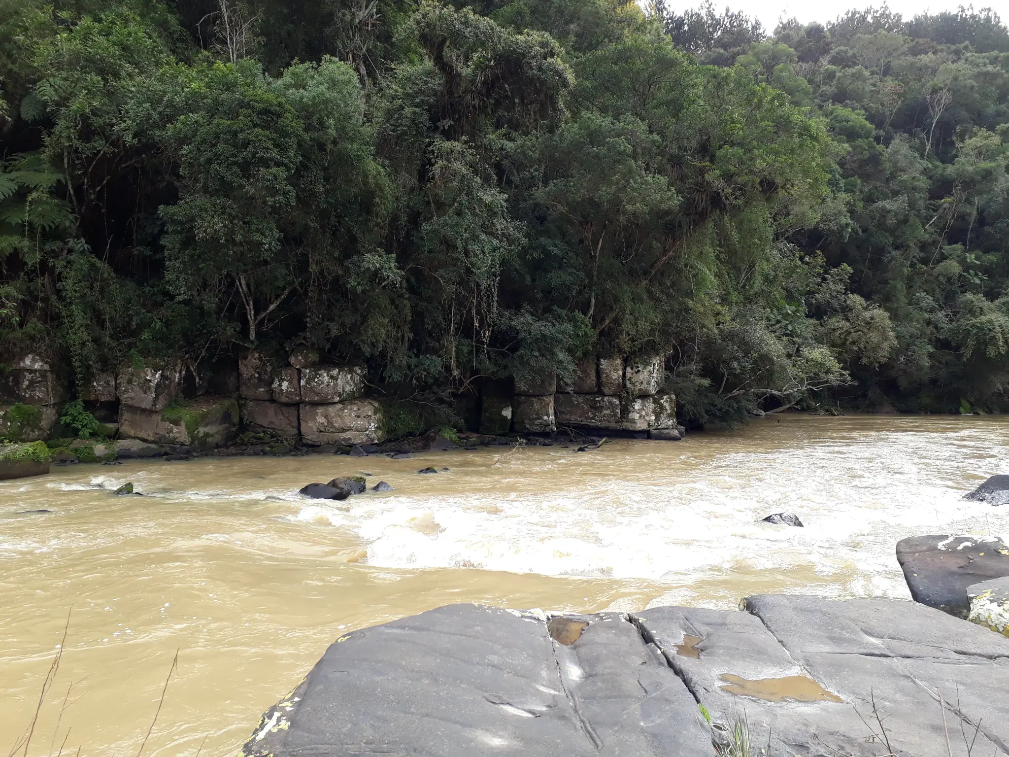 Rio Itajaí-Mirim: guia completo de pesca