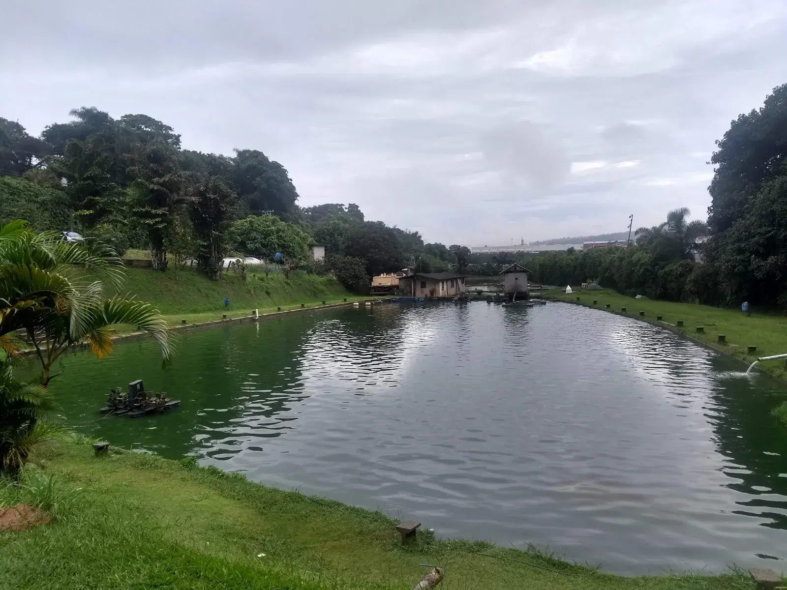 Pesqueiro do Japonês: guia completo de pesca em São Paulo