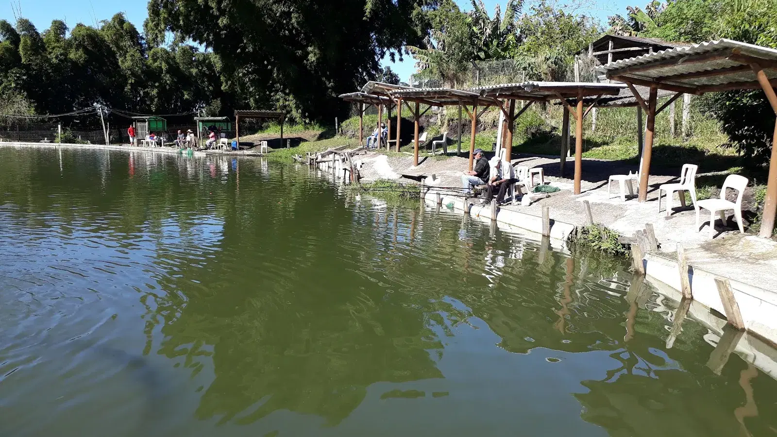 Pesqueiro do Tico em Mogi das Cruzes: guia completo de pesca