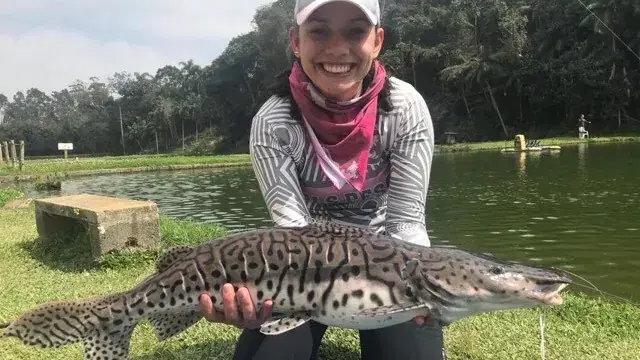 Pesqueiro Itapecerica: guia completo de pesca esportiva