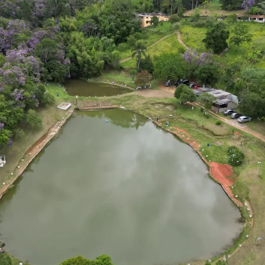 Pesqueiro Jr. Fishing: guia completo de pesca