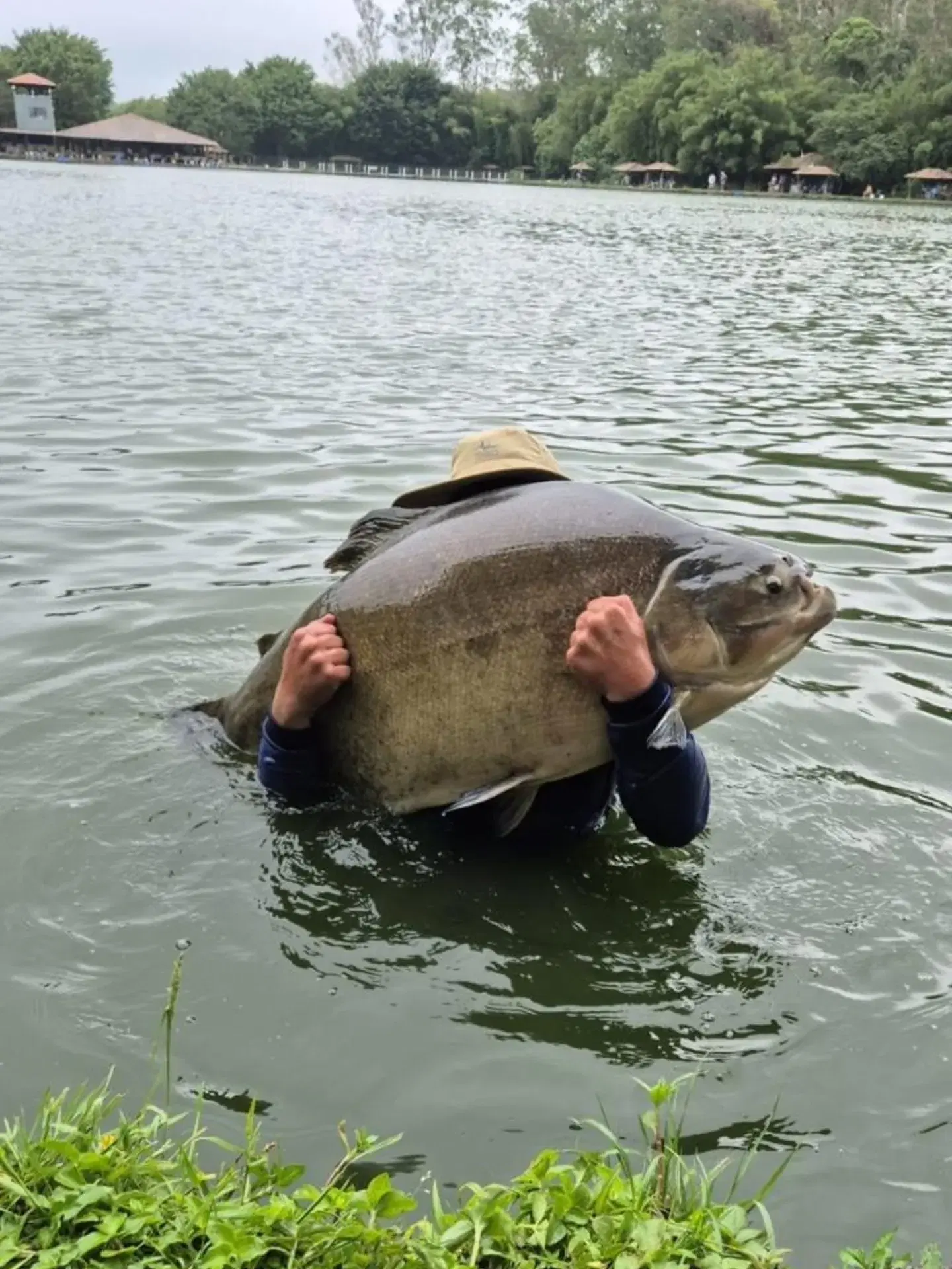 Pesqueiro Matsumura na Zona Sul de São Paulo