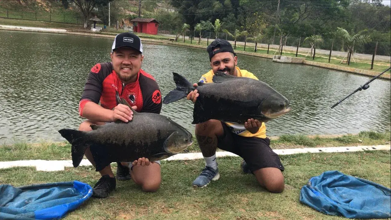Pesqueiro Takenaka: guia completo de pesca em Mairiporã