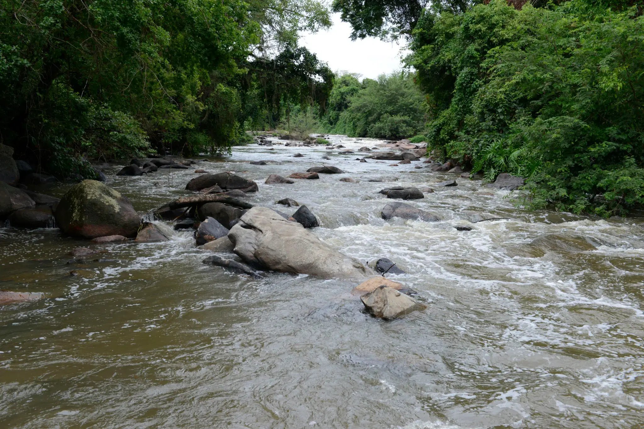 Rio Jundiaí: guia completo de pesca - pesca esportiva