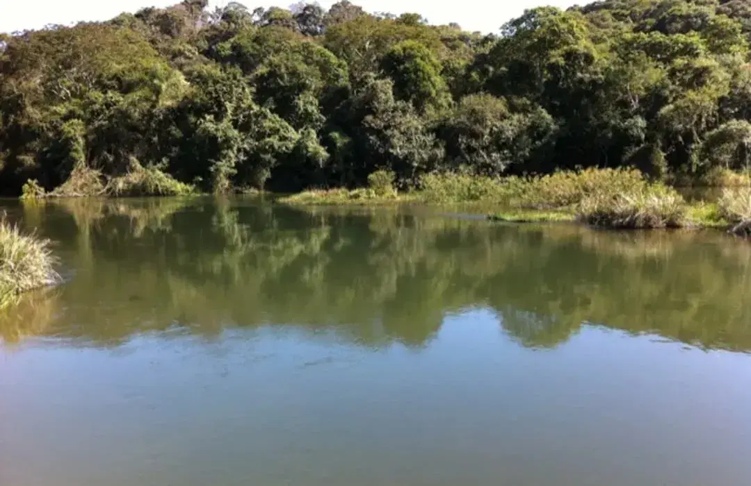Rio Juqueri: guia completo de pesca