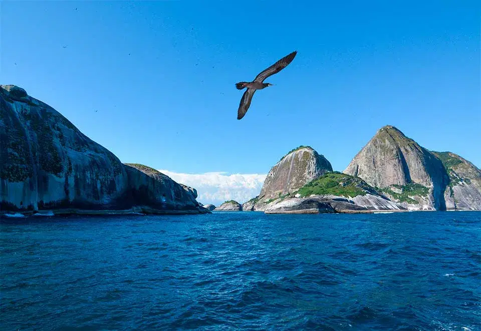Arquipelago de Alcatrazes no litoral norte de Sao Paulo com ilhas rochosas e mar azul