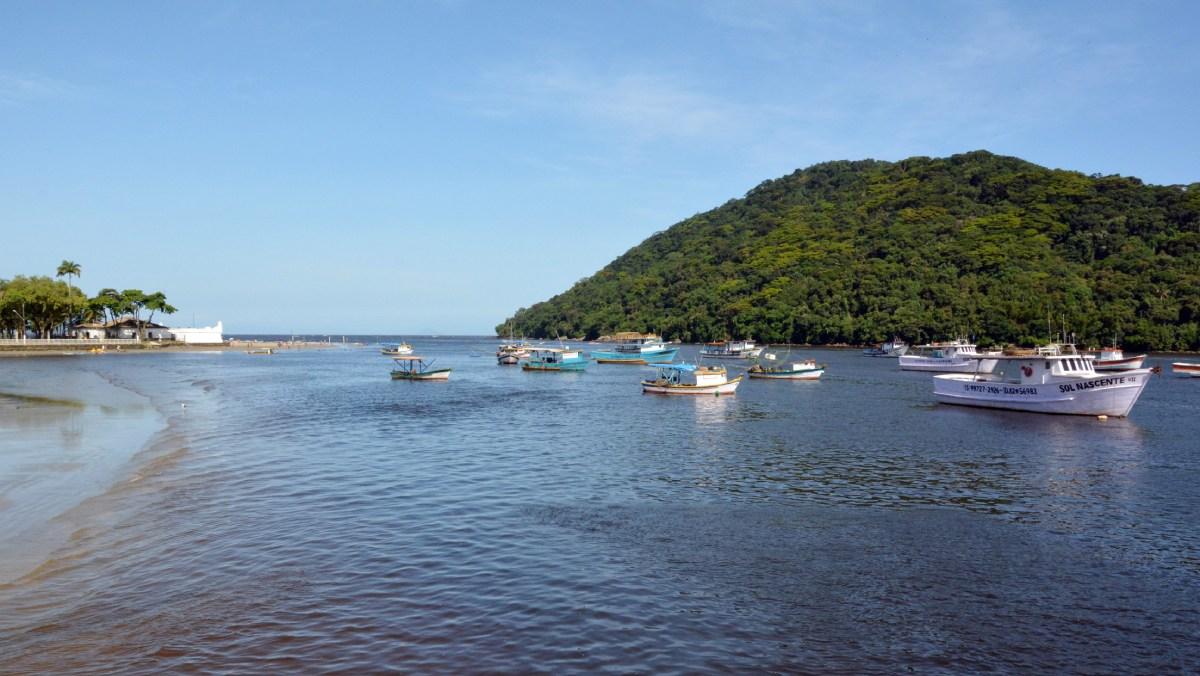 Canal de Bertioga: guia completo de pesca