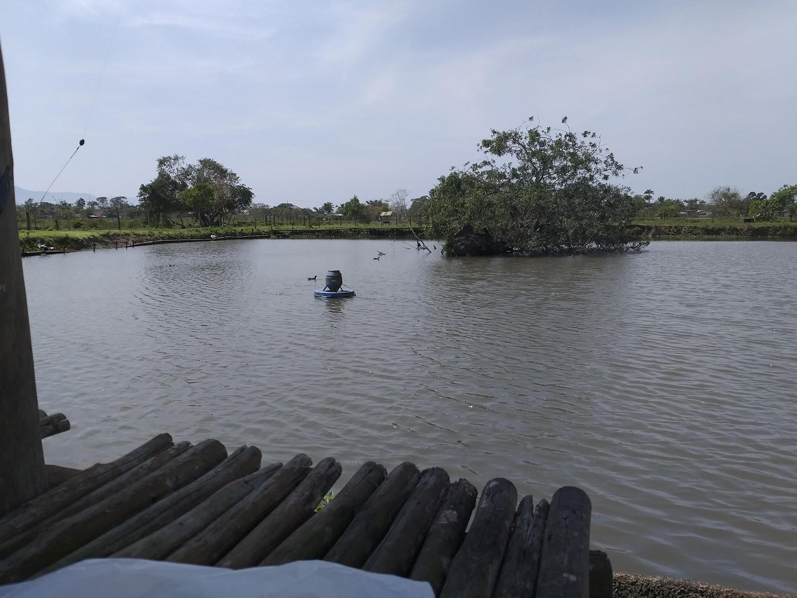 Pesqueiro Sone: pesca e comida japonesa em Caraguatatuba