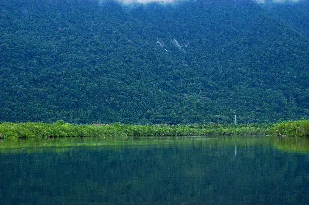Rio Itapanhau em Bertioga SP com aguas escuras e vegetacao de mangue