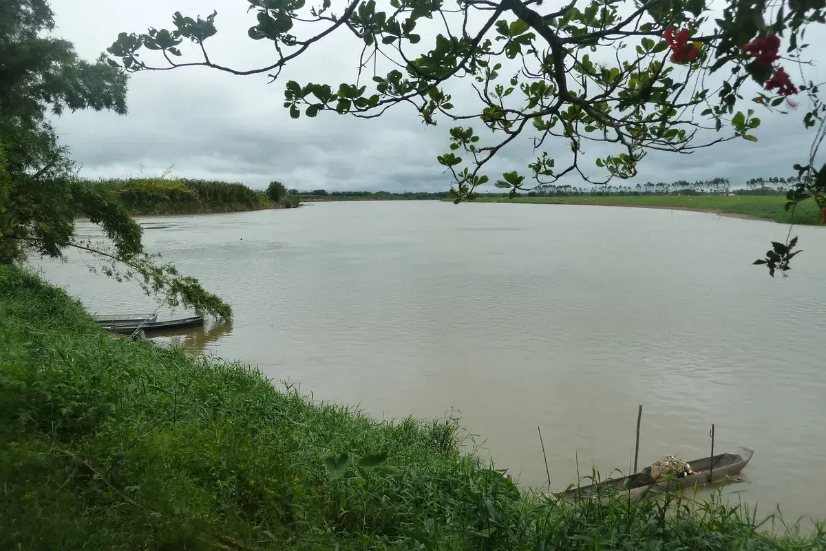 Registro: guia completo de pesca
