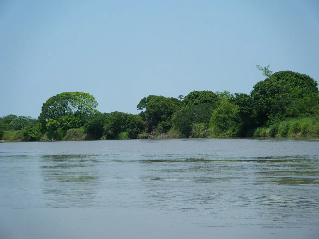 Rio do Peixe (SP): Guia Completo de Pesca