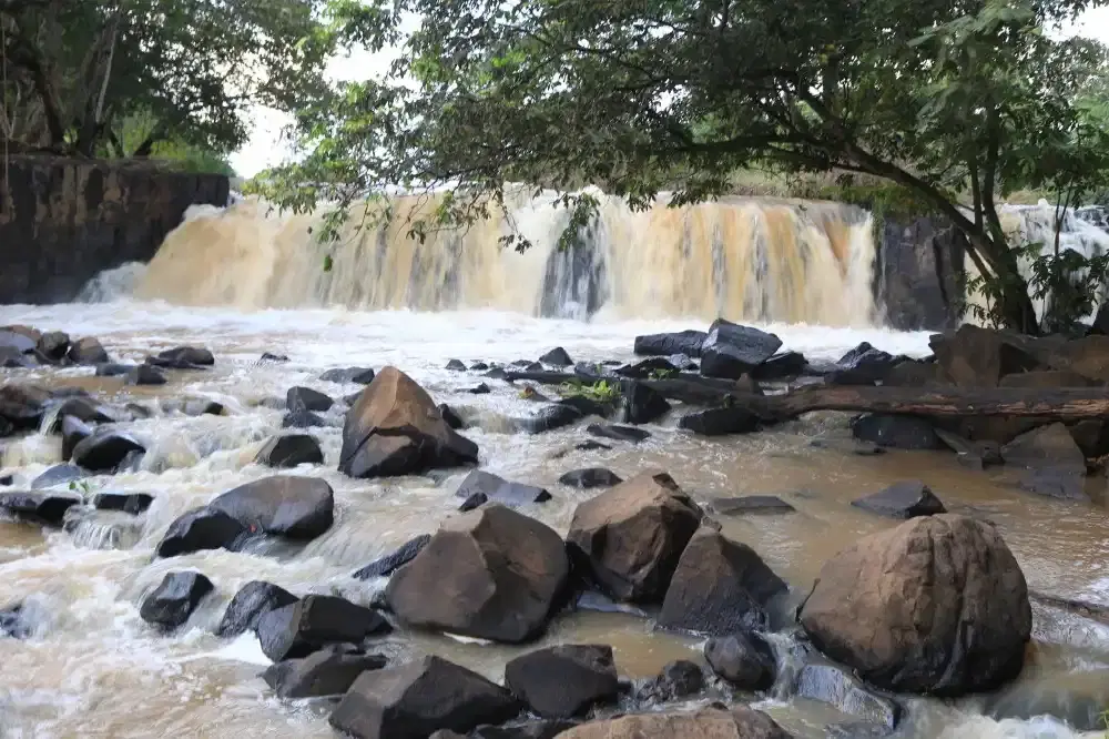 Rio Preto (SP): guia completo de pesca
