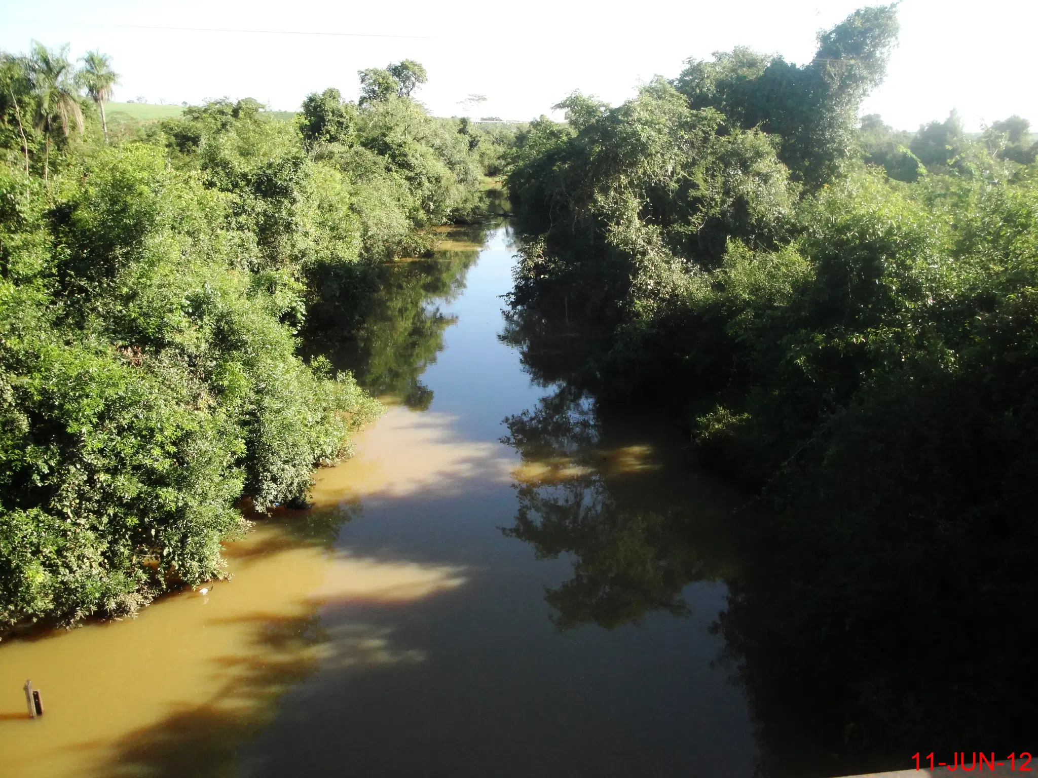 Rio Turvo: Guia Completo de Pesca