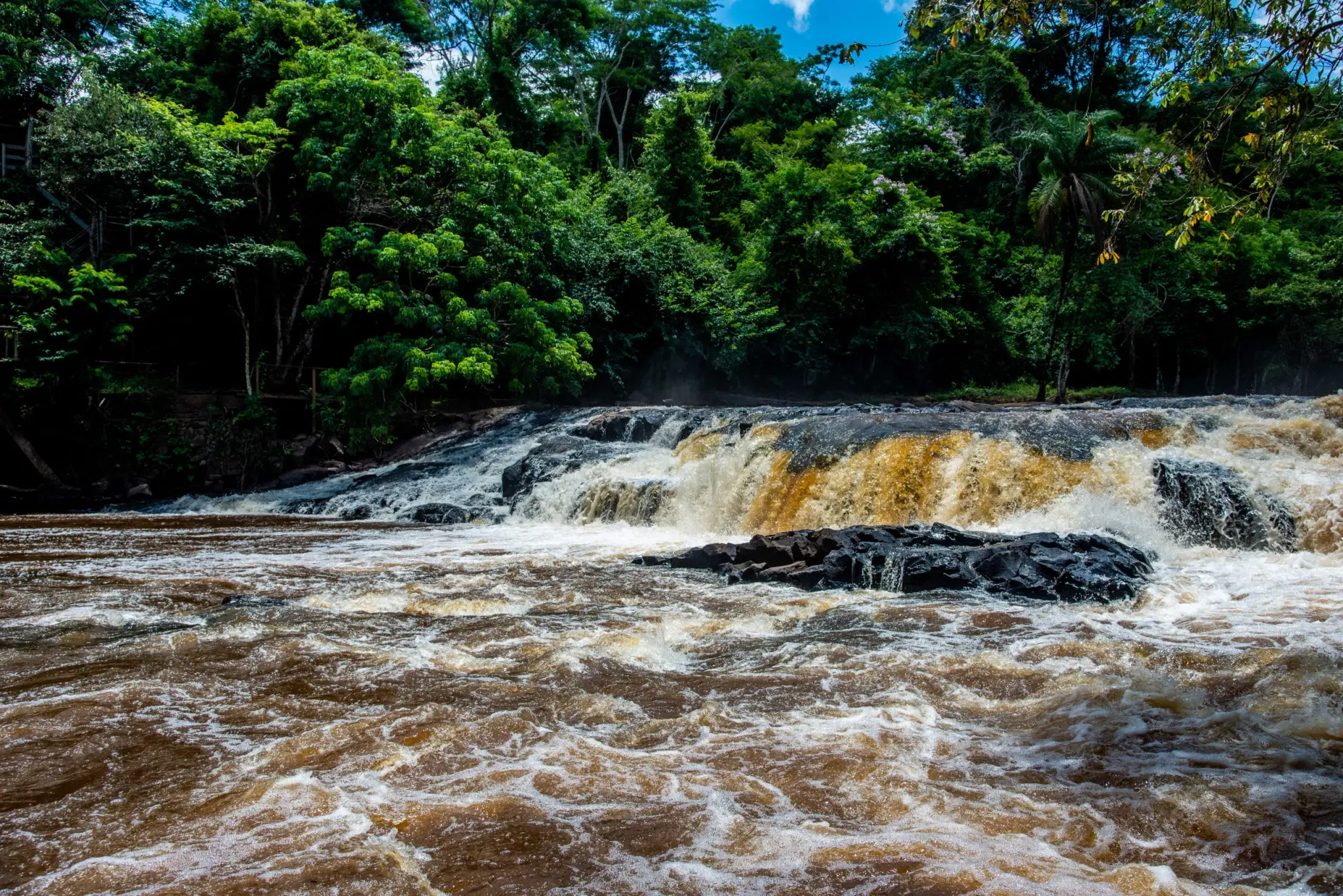 Rio Jacaré-Pepira: guia completo de pesca