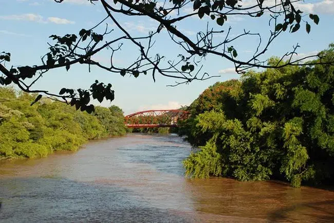 Rio Mogi-Guaçu: Guia Completo de Pesca