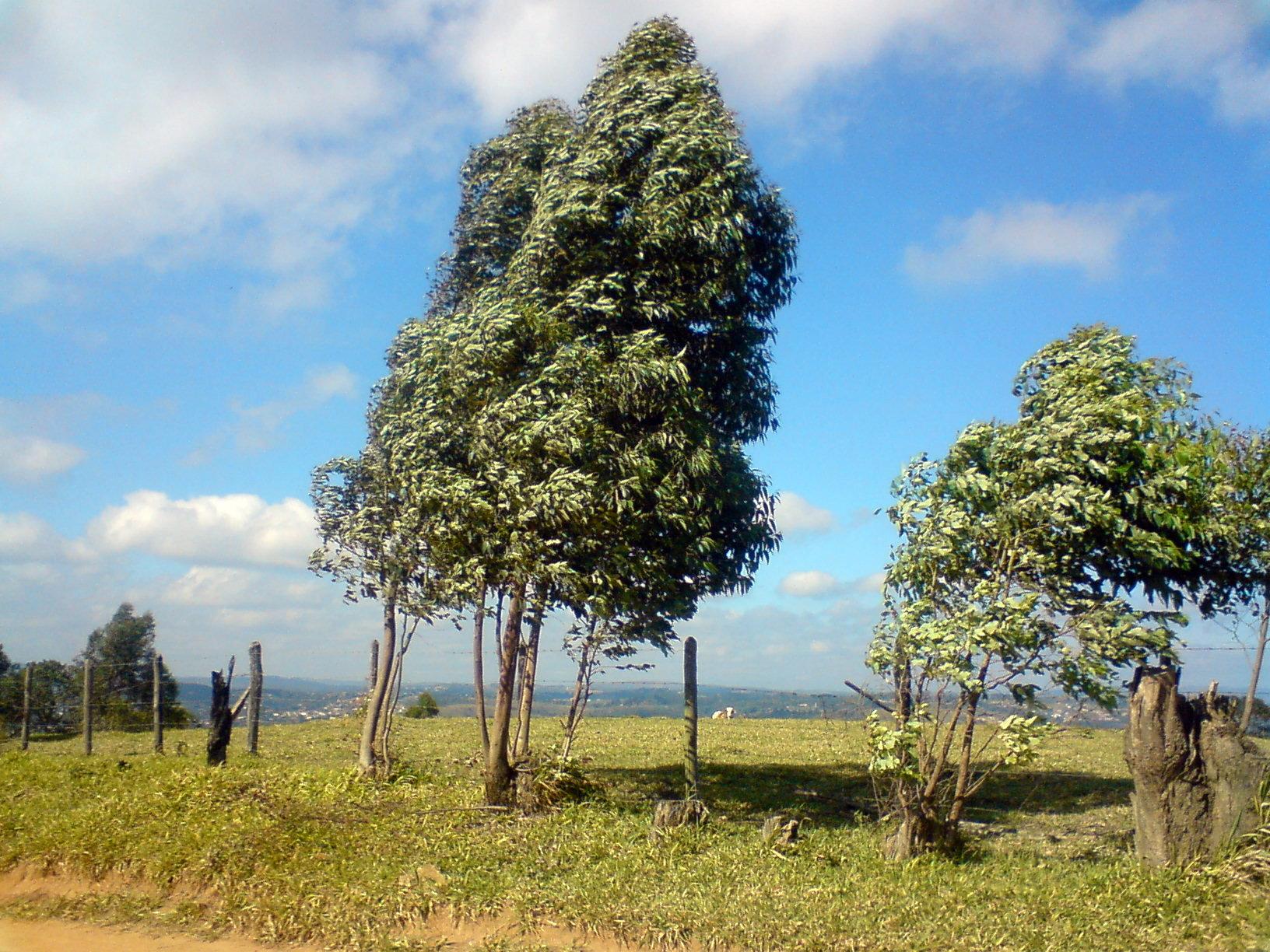 Campos de Santo Antônio em Itu (SP)