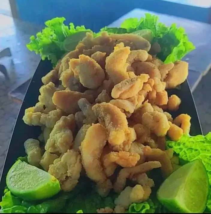 Pesqueiro Rancho Azul: guia completo de pesca
