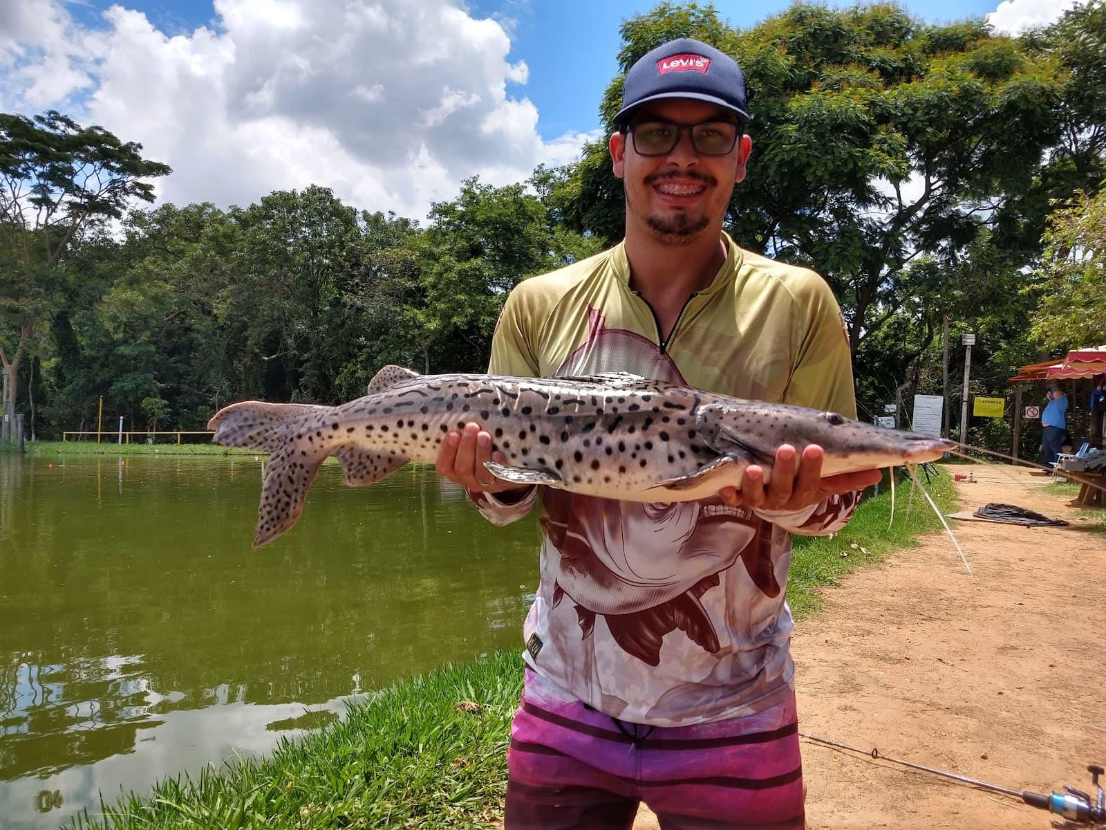 Pesqueiro Recanto do Pacu: guia completo de pesca