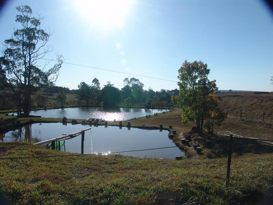 Passarela de madeira sobre lago em pesqueiro