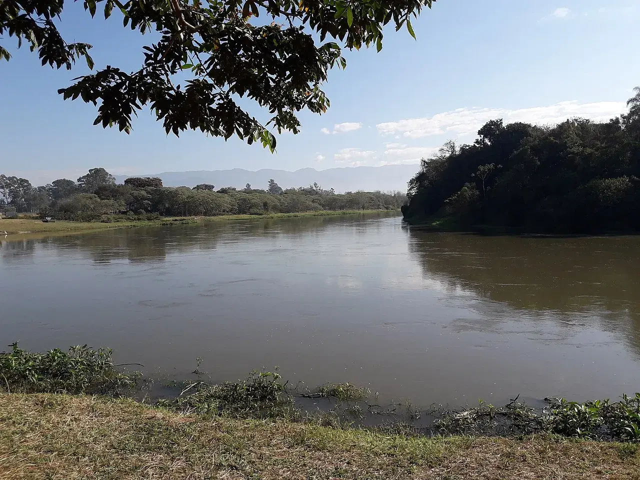 Rio Paraíba do Sul: Guia Completo de Pesca